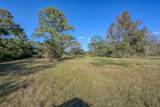 75 ACRES Spring Branch Road - Photo 12