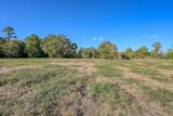 75 ACRES Spring Branch Road - Photo 15