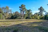 75 ACRES Spring Branch Road - Photo 16