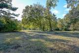 75 ACRES Spring Branch Road - Photo 17
