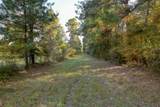 75 ACRES Spring Branch Road - Photo 18
