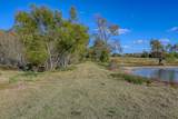 75 ACRES Spring Branch Road - Photo 9