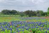 TBD Us Hwy 90A - Photo 1