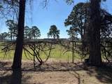 13611 Ravensway - Photo 11