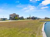 2 Loggerhead - Photo 17