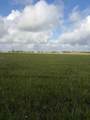 000 Brahman Trail - Photo 2