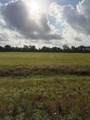 000 Brahman Trail - Photo 3