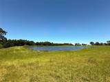 TBD 35 Acres Fm 2547 - Photo 1