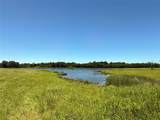 TBD 35 Acres Fm 2547 - Photo 22