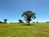 TBD 35 Acres Fm 2547 - Photo 27