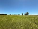 TBD 35 Acres Fm 2547 - Photo 29