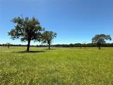 TBD 35 Acres Fm 2547 - Photo 31