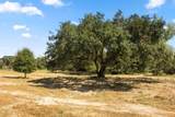 TBD (TR 2) Joshua Tree Lane At Brunes Mill Rd - Photo 1