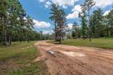 3130 Pine Road - Photo 33