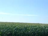 00 County Road 403 - Photo 1