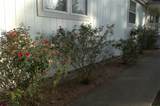 25111 Alamoway - Photo 33