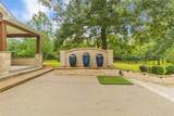 203 Mapleleaf Street - Photo 32