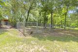 203 Mapleleaf Street - Photo 46