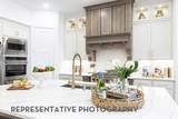 31010 Peony Place Drive - Photo 4