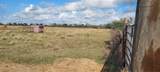 11700 Fm 2004 - Photo 2