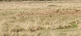11700 Fm 2004 - Photo 3