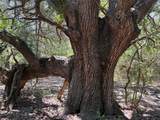 4400 Klekar-Gin - Photo 2