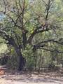 4400 Klekar-Gin - Photo 24