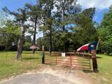 18157 State Highway 87 - Photo 2