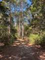 18157 State Highway 87 - Photo 40