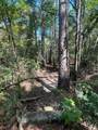 18157 State Highway 87 - Photo 41