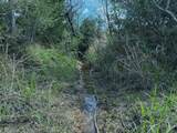 143 ac Cr 236 - Photo 10