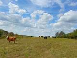 143 ac Cr 236 - Photo 3