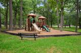 20103 Mahogany Ridge Drive - Photo 41