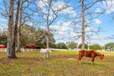 LOT 1 Lakeland Ranch Drive - Photo 28