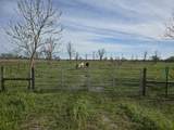 2115 County Road 244 - Photo 1