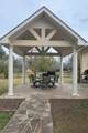 31810 Tree Farm Lane - Photo 7