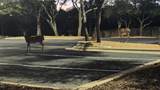 4100 Firstview Drive - Photo 21
