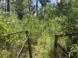 26748 Short St Street - Photo 6