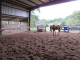 0 Clapp - Photo 7