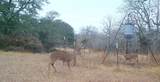 0 Old Seguin Luling Road - Photo 15