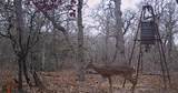 0 Old Seguin Luling Road - Photo 16