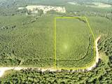 00 Shady Grove Rd - Photo 1