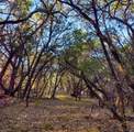 12621 Fitzhugh Road - Photo 34