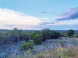 12621 Fitzhugh Road - Photo 7