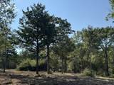 TBD Sweed Road - Photo 22