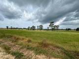 2622 Lakeland Drive - Photo 8