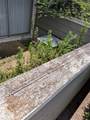 12214 Bob White Drive - Photo 17