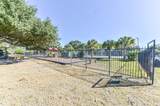 14341 Misty Meadow Ln - Photo 46