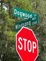 47 Dogwood Lane - Photo 1