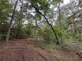 Lot 85 Pr 1317 - Photo 12
